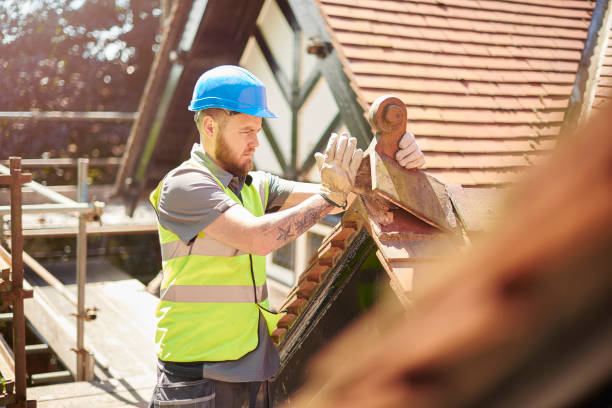 Best Roof Gutter Cleaning  in Carrboro, NC